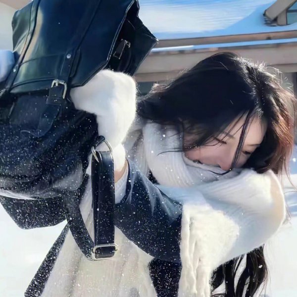 失败之翼
